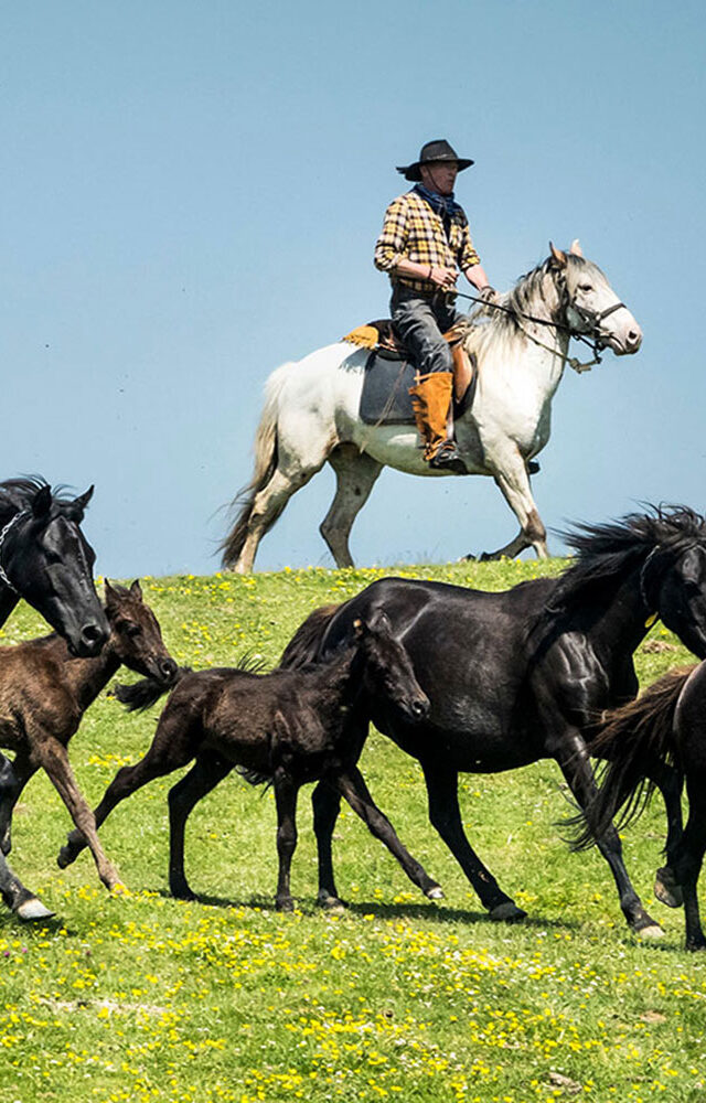 https://ososyolas.com/wp-content/uploads/2022/10/Horseback-Asturias-Spain-069-1-640x1000.jpg
