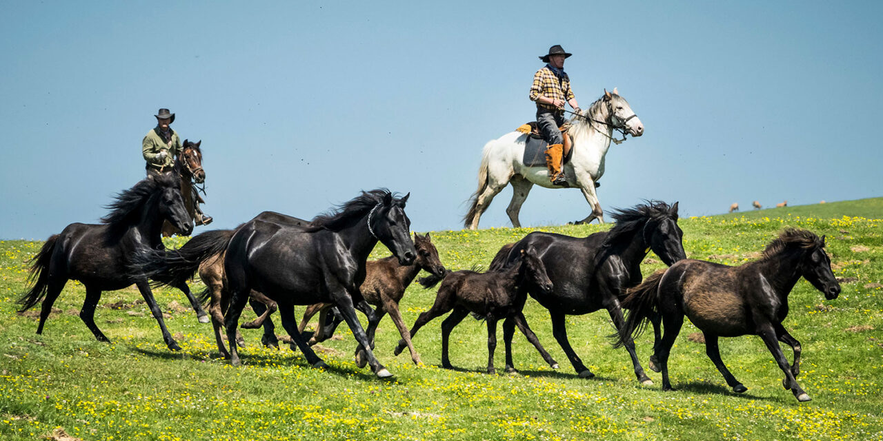 https://ososyolas.com/wp-content/uploads/2022/10/Horseback-Asturias-Spain-069-1280x640.jpg